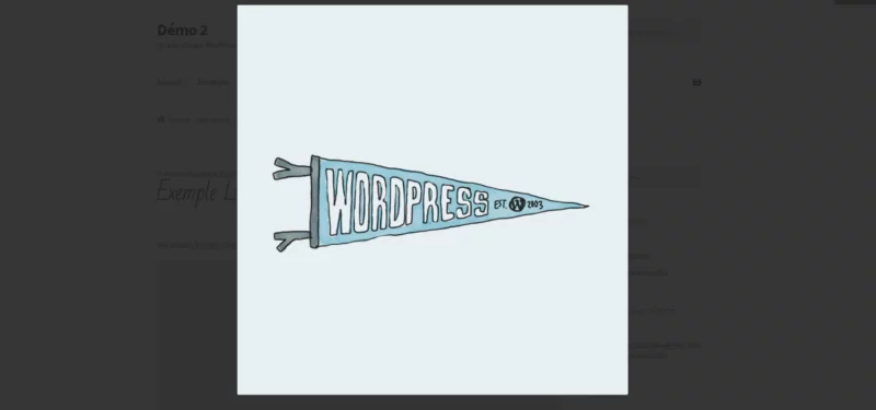 Capture d'écran d'une lightbox WordPress réalisée sans plugin, avec FancyBox