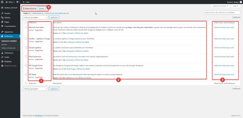 Capture d'écran du panneau des extensions dans l'admin WordPress.