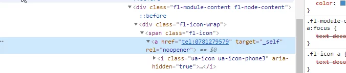 Capture d'écran du code source d'une page montrant un numéro de téléphone cliquable