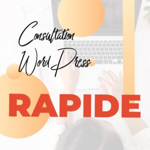 Consultation WordPress Rapide - 30min